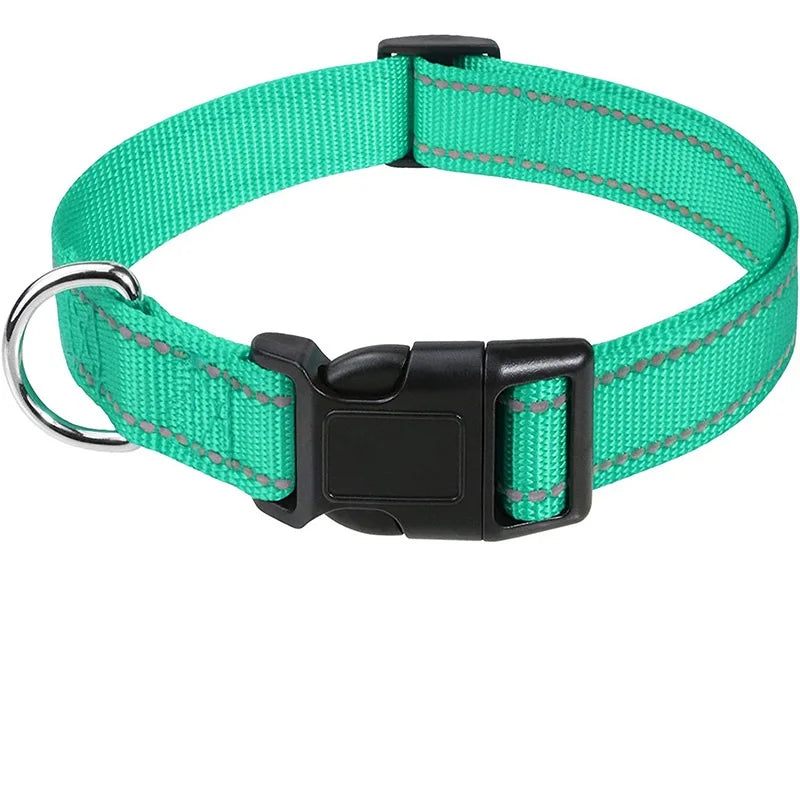 Collier ras de cou pour chiots et petits chiens, nylon robuste, diverses couleurs