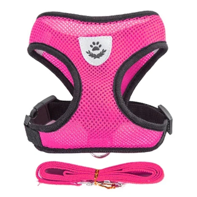 Harnais + laisse assortie, pour chat et petit chien, maille respirante et confortable, diverses couleurs