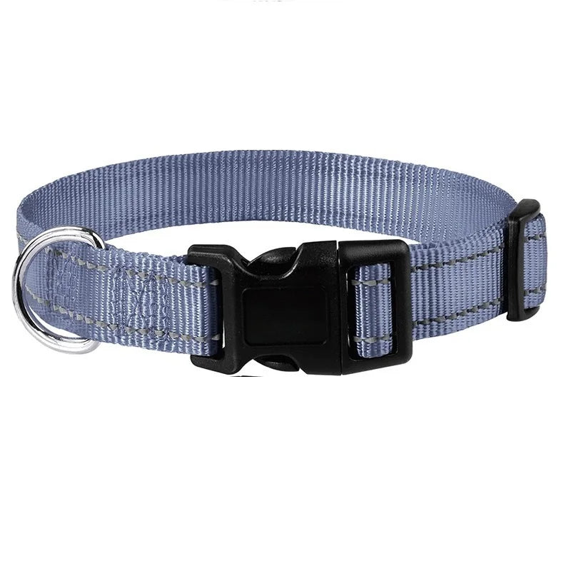 Collier ras de cou pour chiots et petits chiens, nylon robuste, diverses couleurs