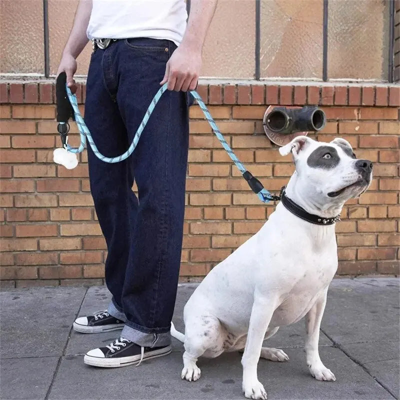 Laisse pour chien avec poignée rembourrée confortable, petites bandes réfléchissantes, diverses couleurs