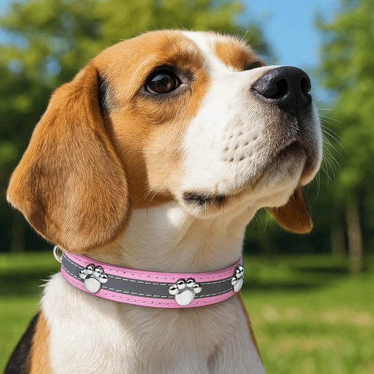 Collier de chien réfléchissant en cuir, boucle en métal réglable, rivets en forme de patte, diverses couleurs