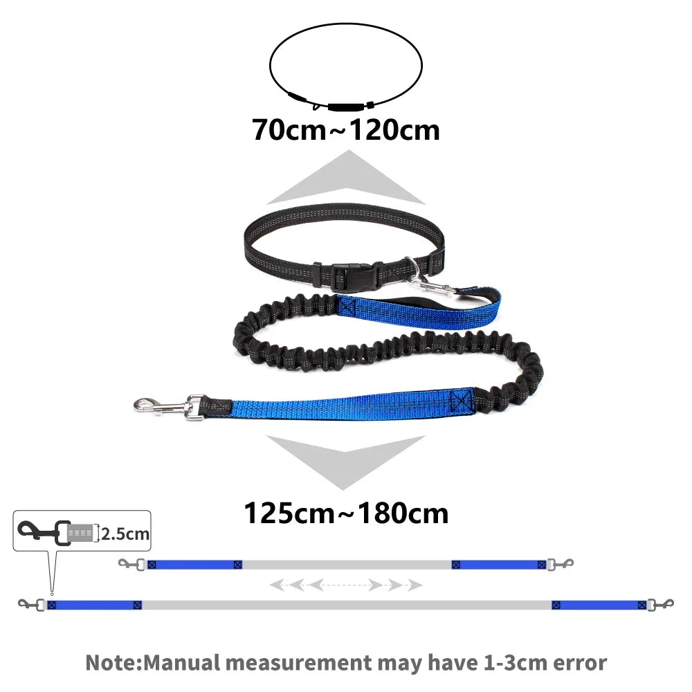 Laisse pour chien mains libres pour promenade, course à pied, jogging. Laisse réglable, ceinture abdominale, sangle thoracique, diverses couleurs