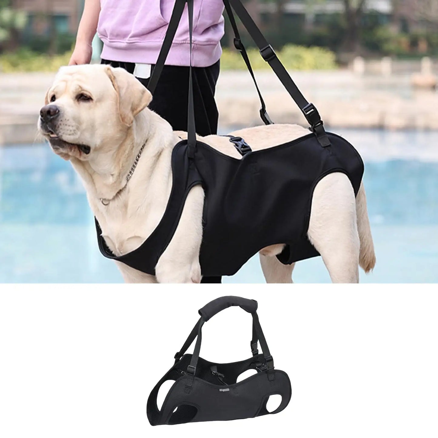 Harnais de transport pour chien, pour le soutien et la rééducation du chien, noir