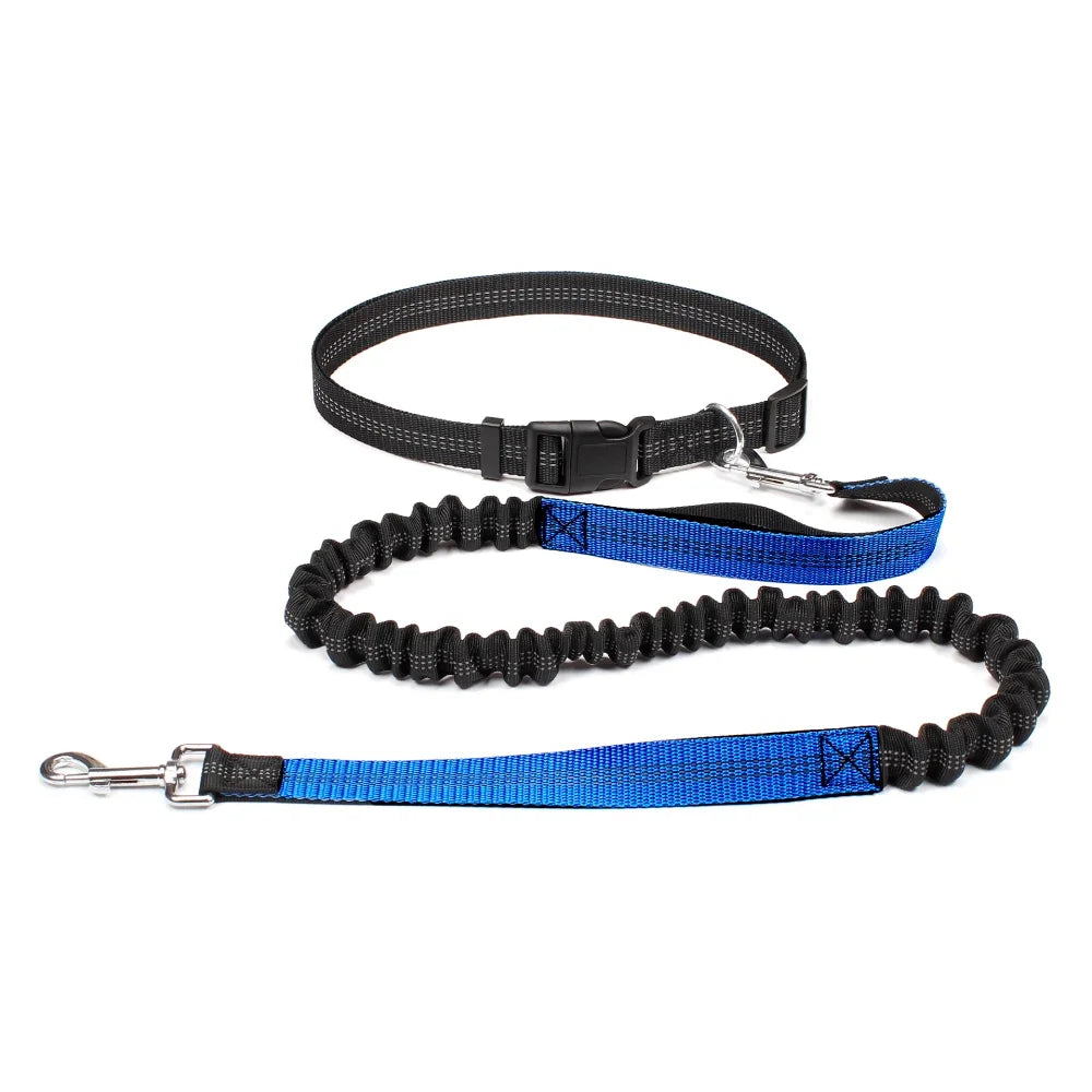 Laisse pour chien mains libres pour promenade, course à pied, jogging. Laisse réglable, ceinture abdominale, sangle thoracique, diverses couleurs