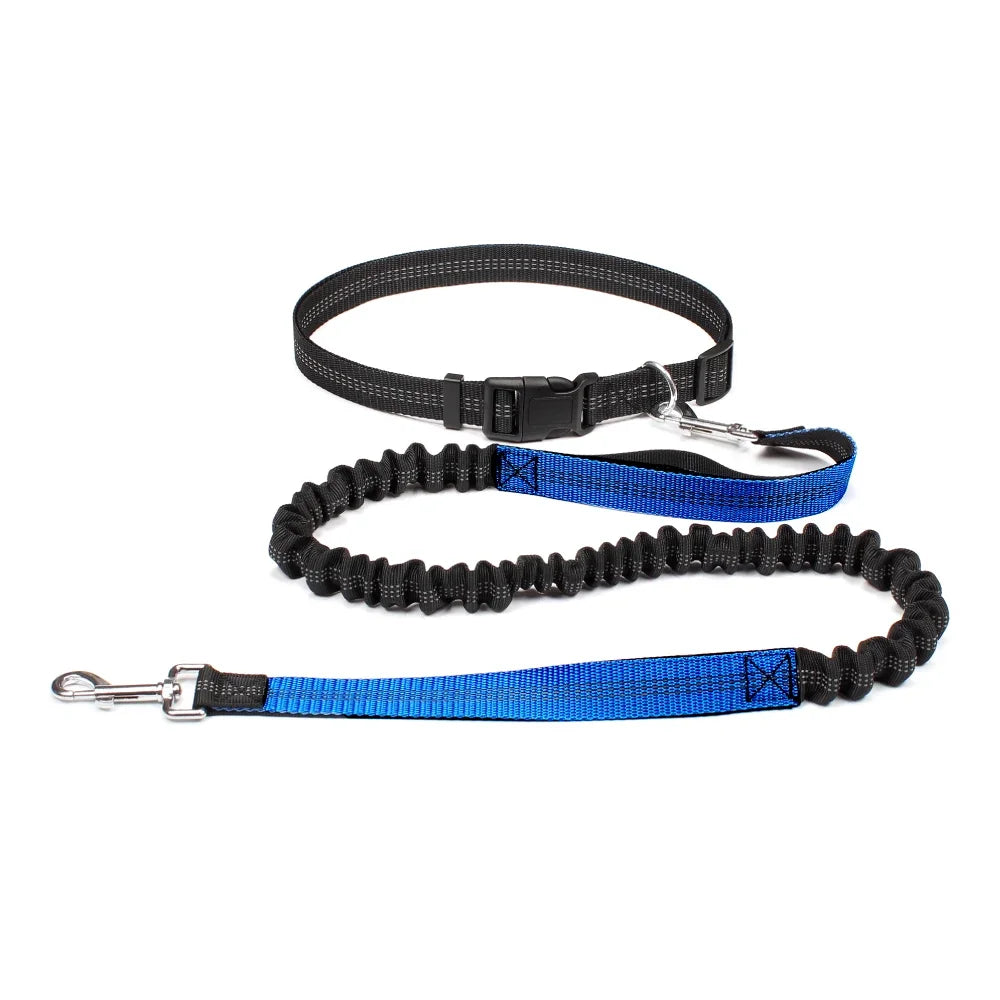 Laisse pour chien mains libres pour promenade, course à pied, jogging. Laisse réglable, ceinture abdominale, sangle thoracique, diverses couleurs