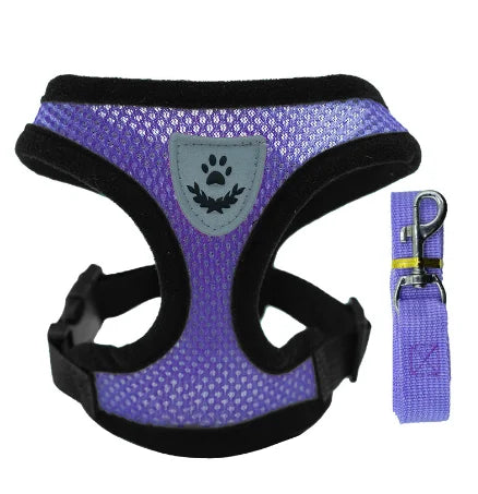 Harnais + laisse assortie, pour chat et petit chien, maille respirante et confortable, diverses couleurs