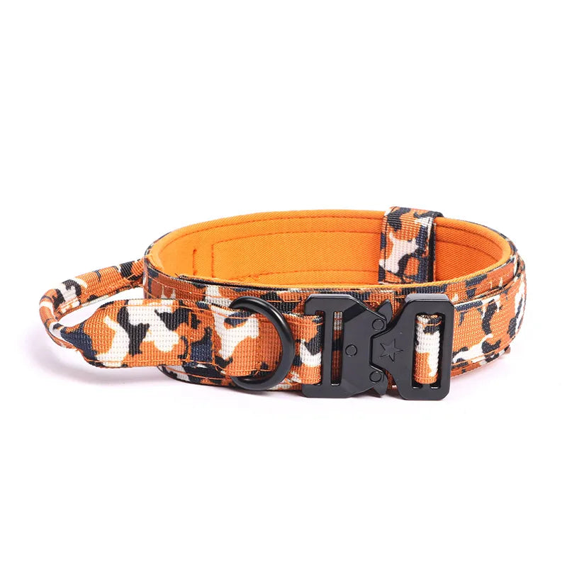 Collier et laisse de formation pour chiens de police, pour chiens moyens et grands, diverses couleurs