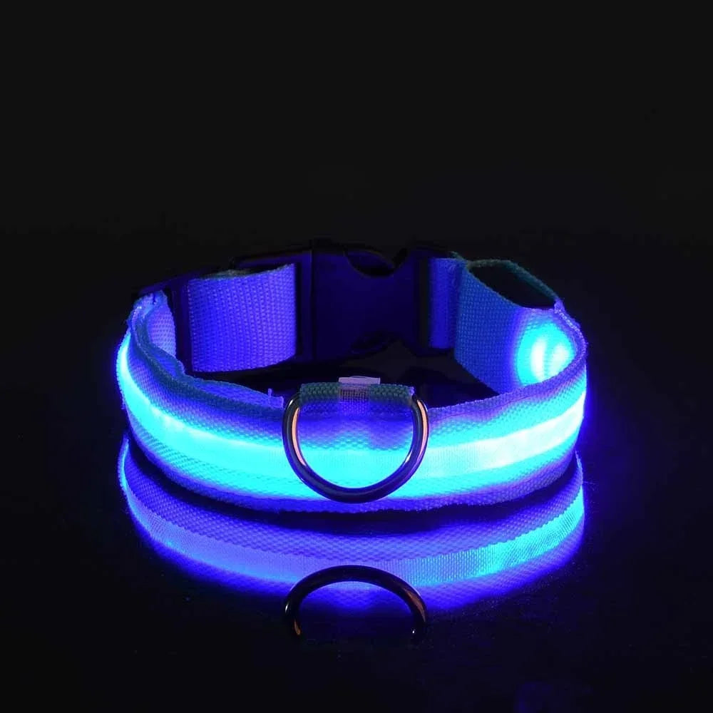 Collier pour chien en Nylon, LED clignotantes pour la sécurité nocturne, diverses couleurs