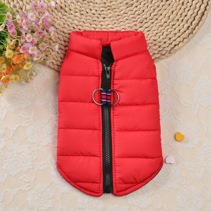 Manteau coupe vent pour petits chiens.