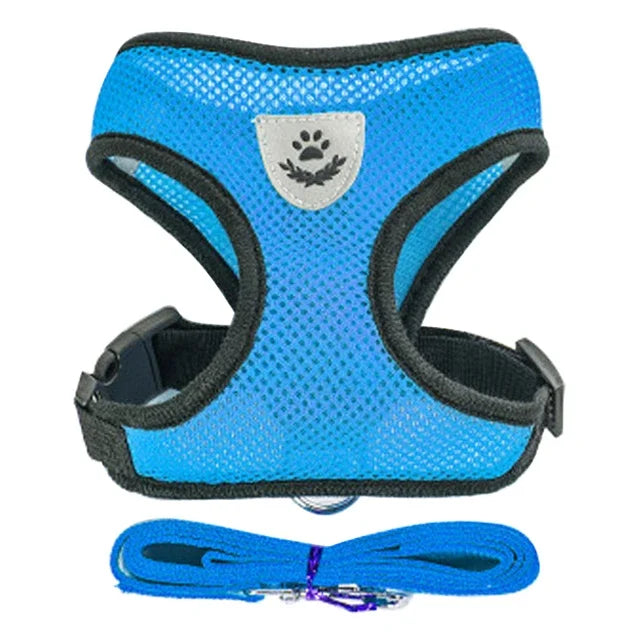 Harnais + laisse assortie, pour chat et petit chien, maille respirante et confortable, diverses couleurs