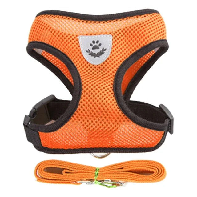 Harnais + laisse assortie, pour chat et petit chien, maille respirante et confortable, diverses couleurs