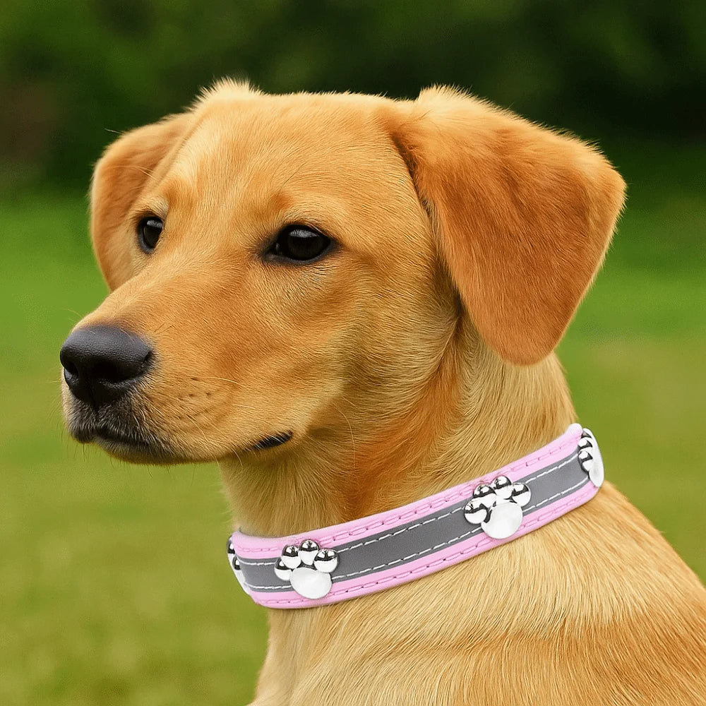 Collier de chien réfléchissant en cuir, boucle en métal réglable, rivets en forme de patte, diverses couleurs
