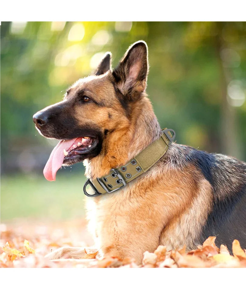 Collier tactique militaire pour chien, collier d'entraînement large en nylon avec poignée solide, pour chiens de taille moyenne et grande, diverses couleurs
