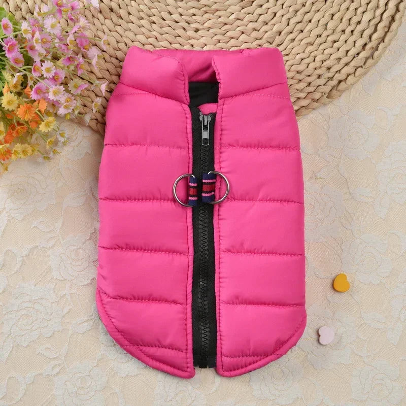 Manteau coupe vent pour petits chiens.