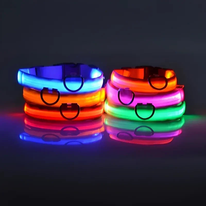Collier pour chien en Nylon, LED clignotantes pour la sécurité nocturne, diverses couleurs
