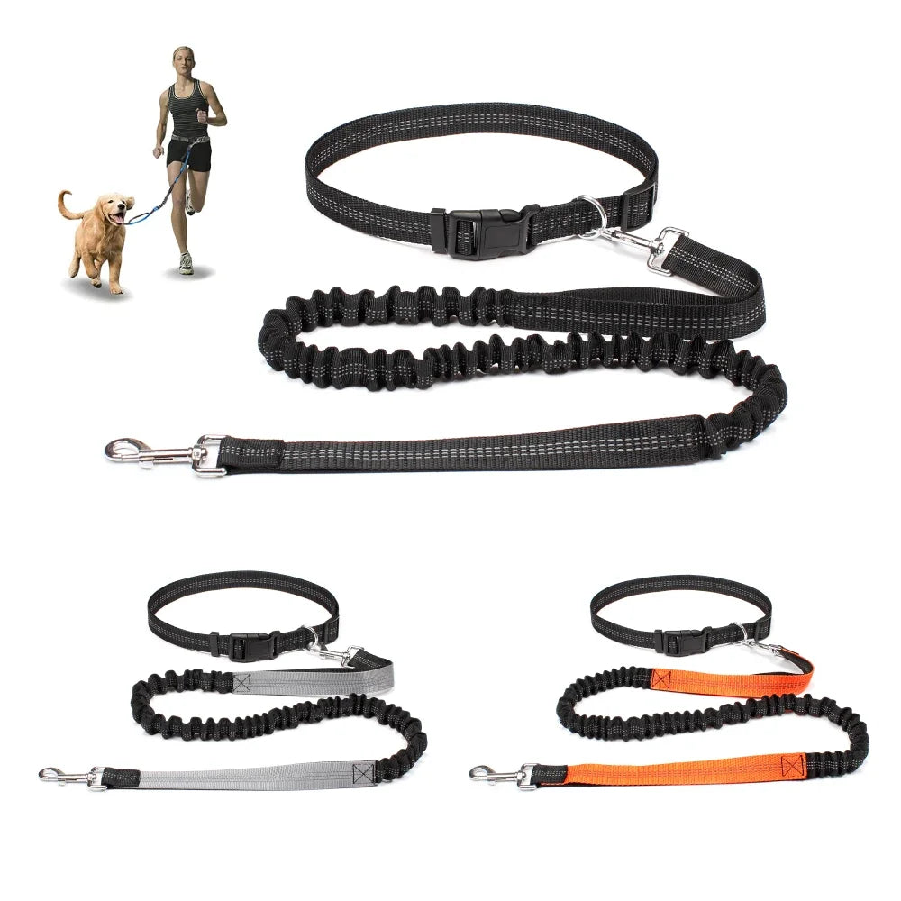 Laisse pour chien mains libres pour promenade, course à pied, jogging. Laisse réglable, ceinture abdominale, sangle thoracique, diverses couleurs