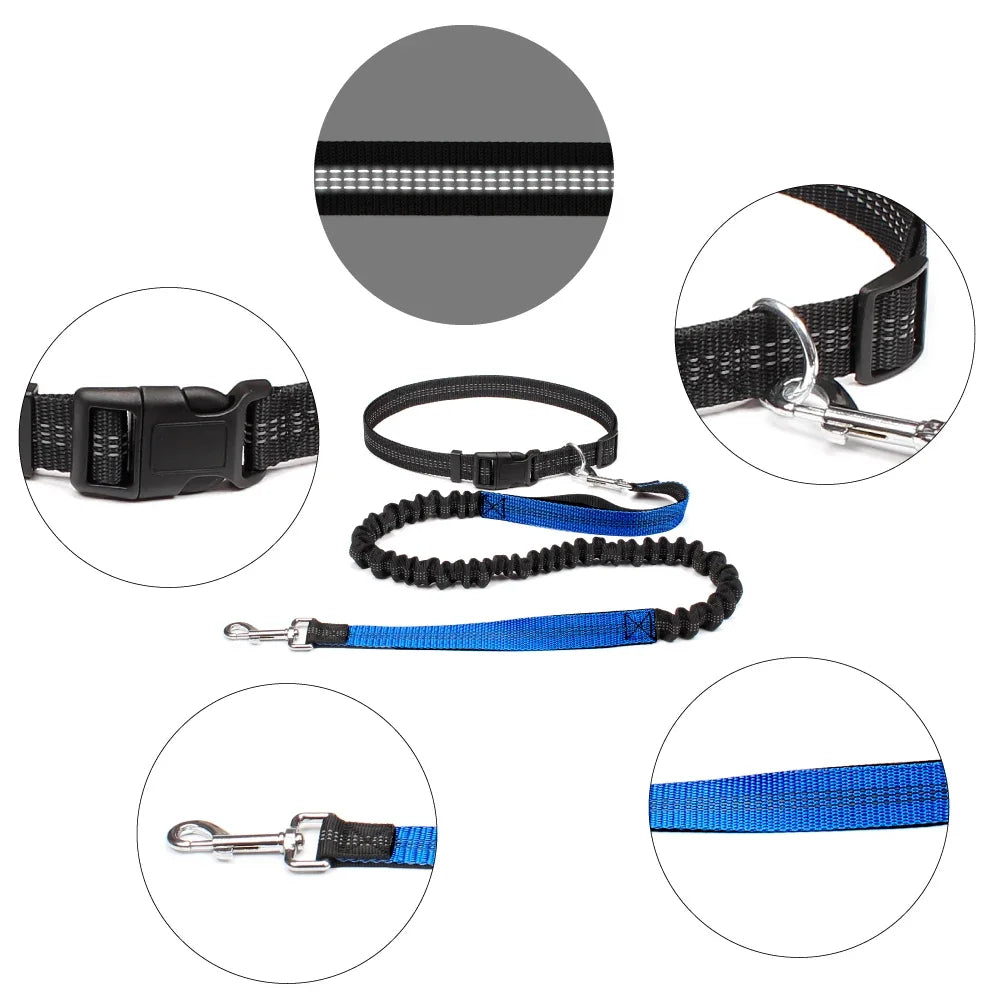 Laisse pour chien mains libres pour promenade, course à pied, jogging. Laisse réglable, ceinture abdominale, sangle thoracique, diverses couleurs