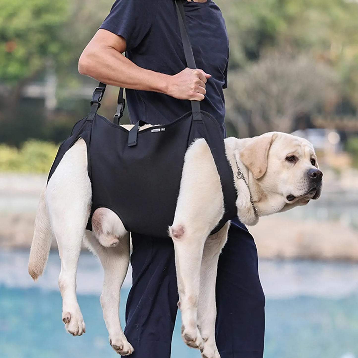Harnais de transport pour chien, pour le soutien et la rééducation du chien, noir