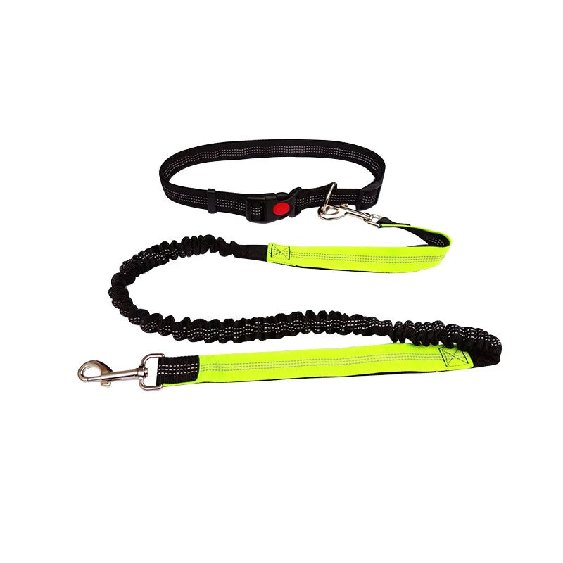 Laisse pour chien mains libres pour promenade, course à pied, jogging. Laisse réglable, ceinture abdominale, sangle thoracique, diverses couleurs