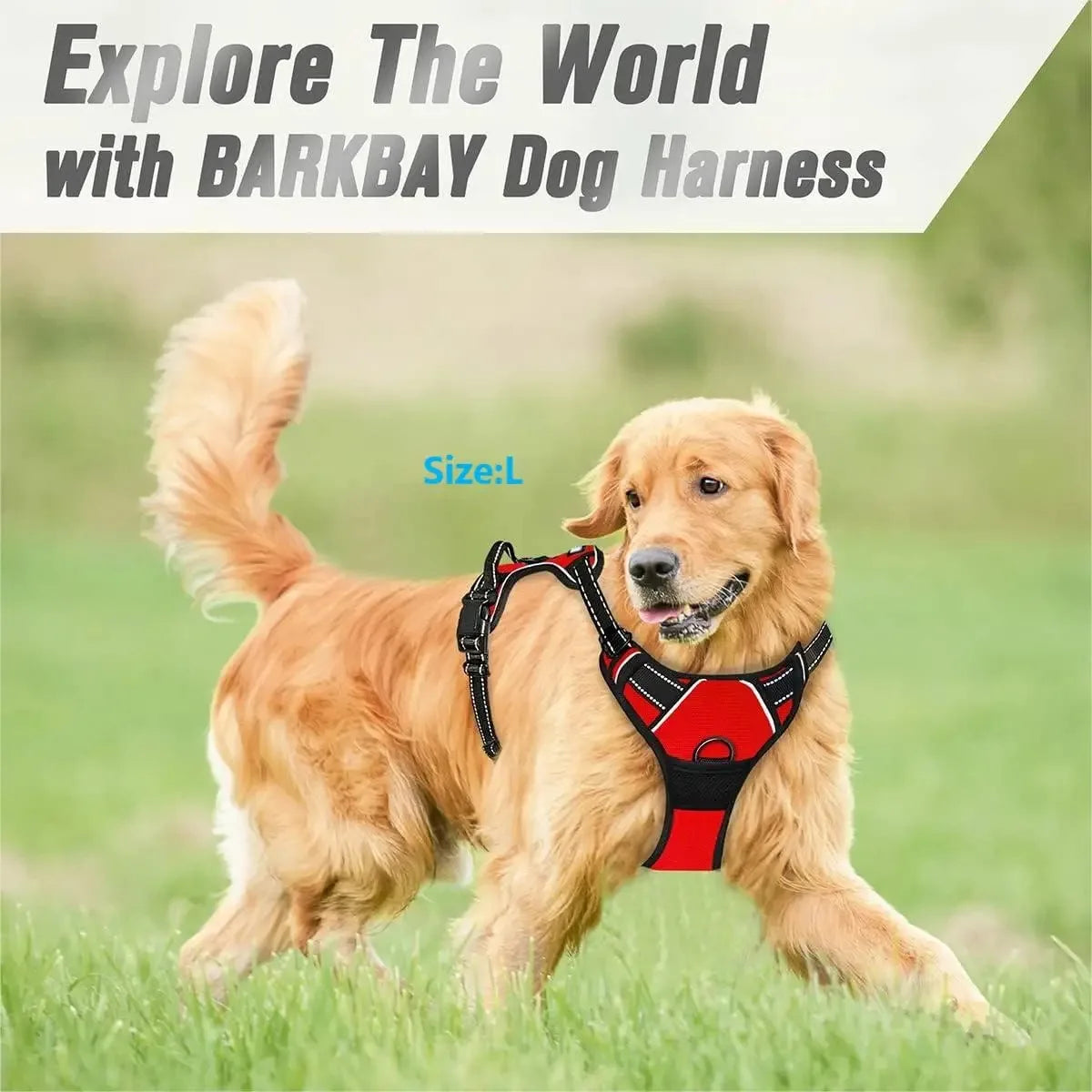 Harnais pour chiens, taille S à XL, diverses couleurs