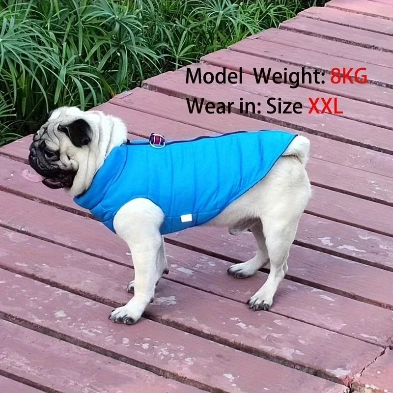 Manteau coupe vent pour petits chiens.