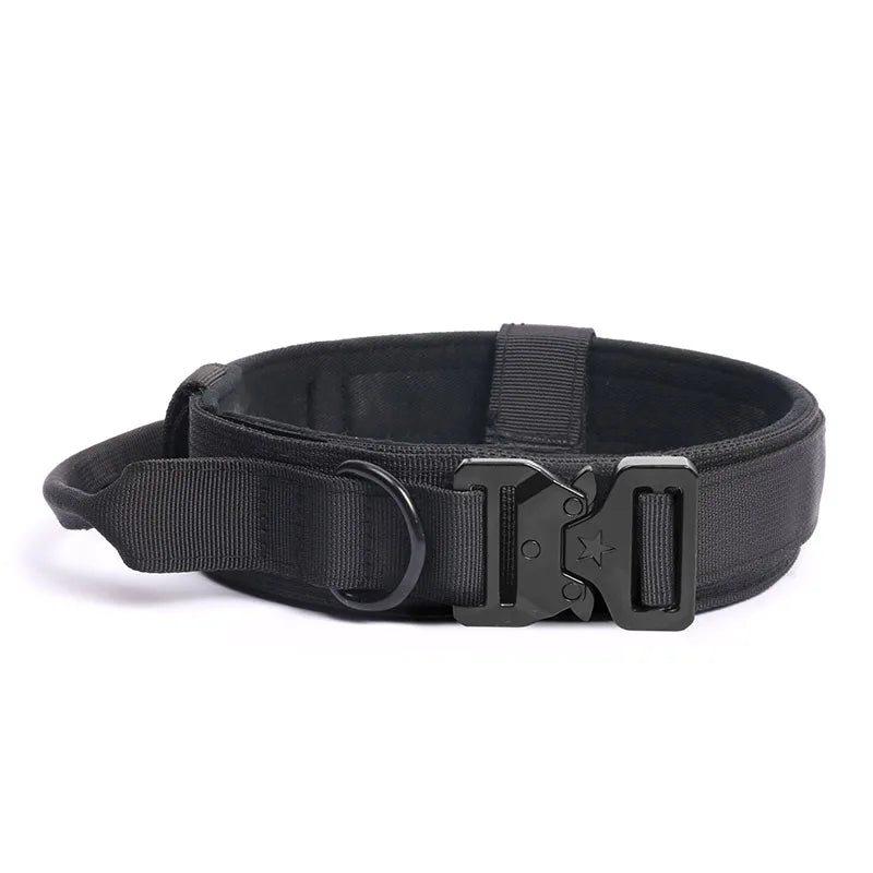 Collier et laisse de formation pour chiens de police, pour chiens moyens et grands, diverses couleurs