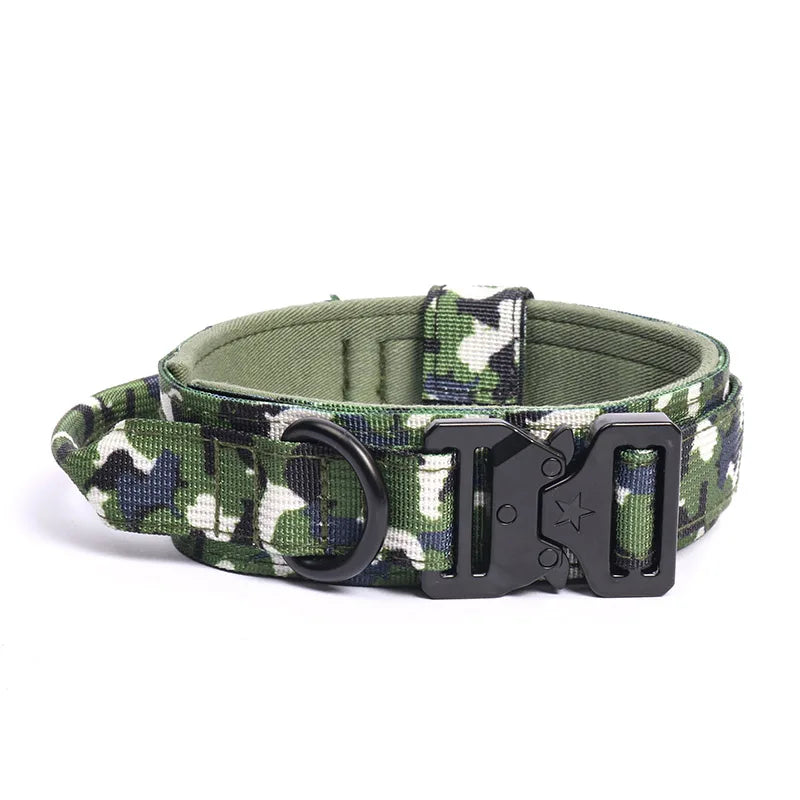 Collier et laisse de formation pour chiens de police, pour chiens moyens et grands, diverses couleurs