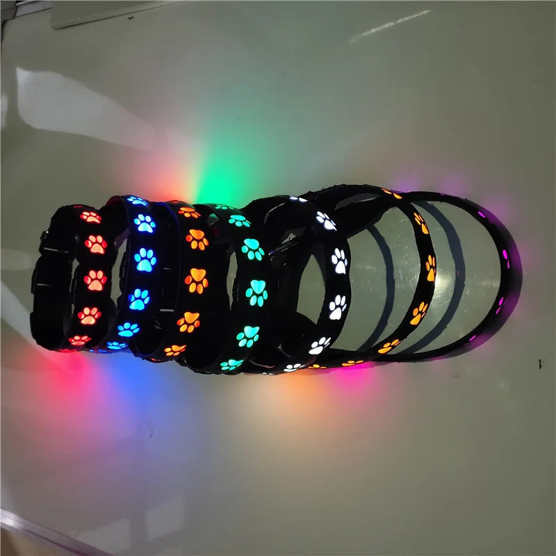 Collier pour chien, avec motif en forme de patte, lumineux pour la marche, diverses couleurs