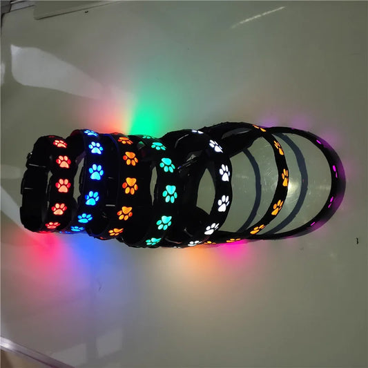 Collier pour chien, avec motif en forme de patte, lumineux pour la marche, diverses couleurs