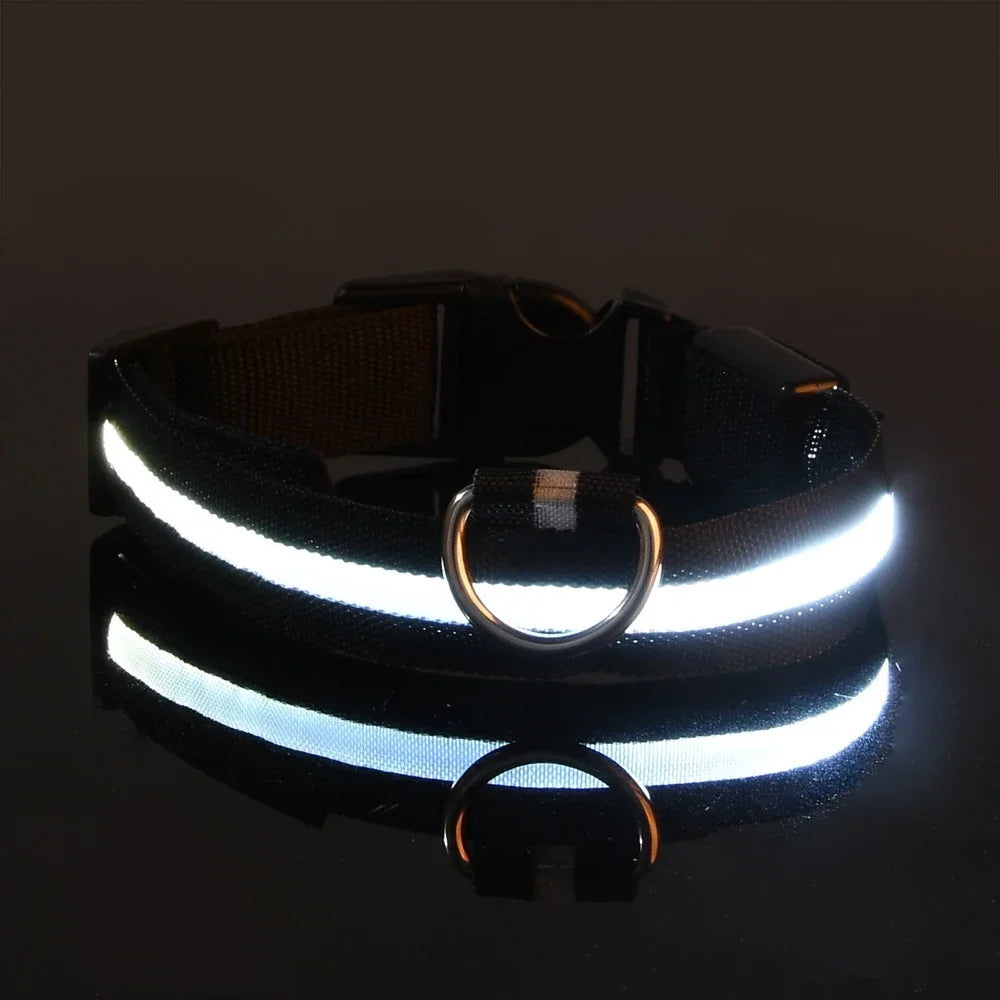 Collier pour chien en Nylon, LED clignotantes pour la sécurité nocturne, diverses couleurs