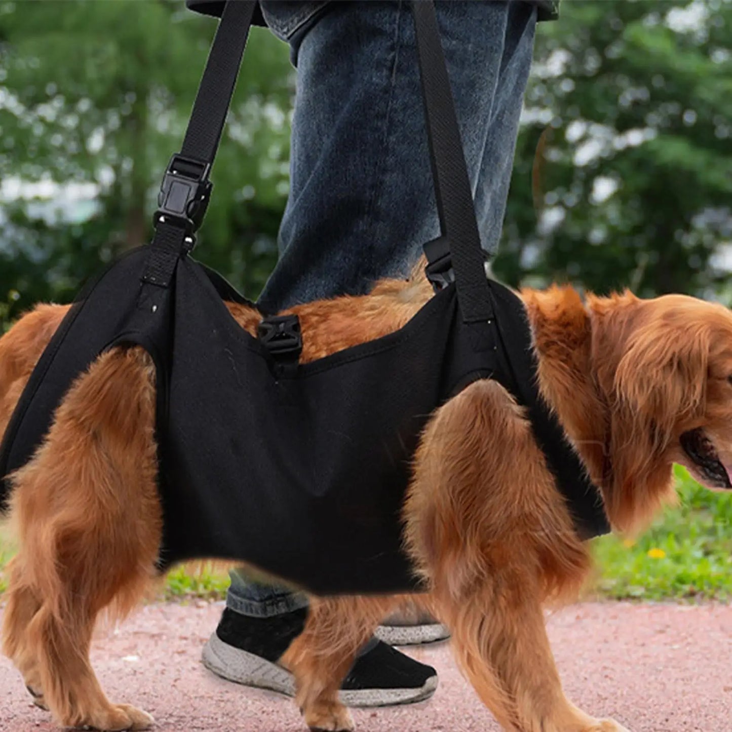 Harnais de transport pour chien, pour le soutien et la rééducation du chien, noir
