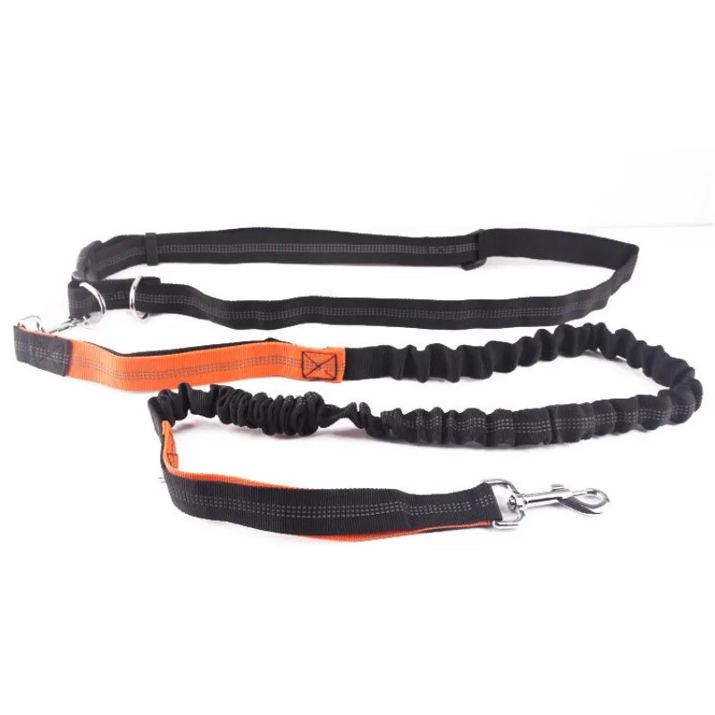 Laisse pour chien mains libres pour promenade, course à pied, jogging. Laisse réglable, ceinture abdominale, sangle thoracique, diverses couleurs