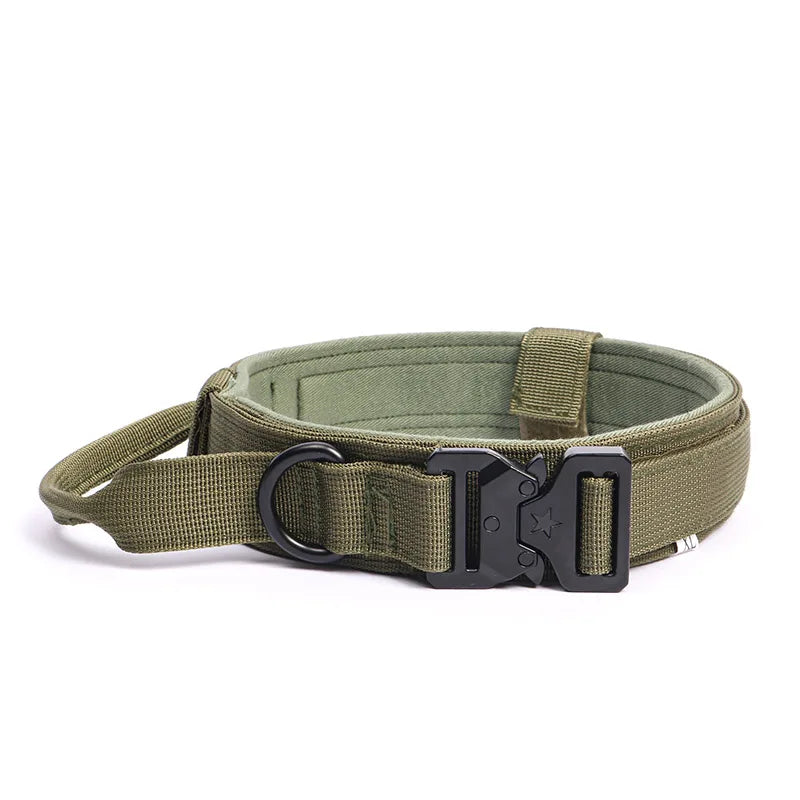 Collier et laisse de formation pour chiens de police, pour chiens moyens et grands, diverses couleurs