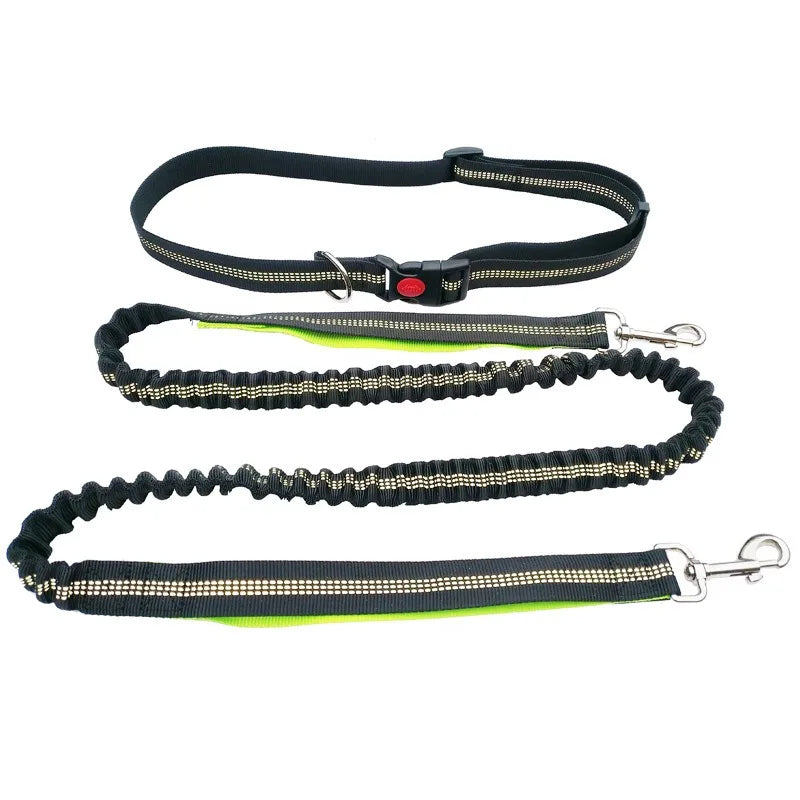 Laisse pour chien mains libres pour promenade, course à pied, jogging. Laisse réglable, ceinture abdominale, sangle thoracique, diverses couleurs