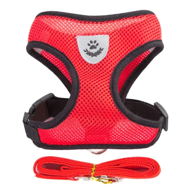 Harnais + laisse assortie, pour chat et petit chien, maille respirante et confortable, diverses couleurs