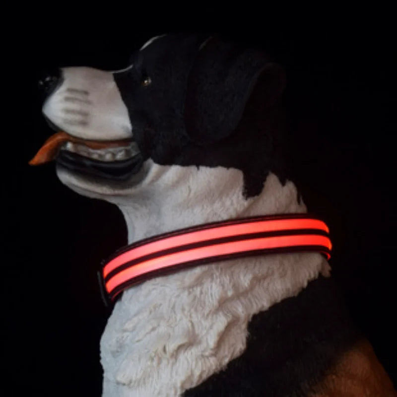 Collier pour chien, avec motif en forme de patte, lumineux pour la marche, diverses couleurs