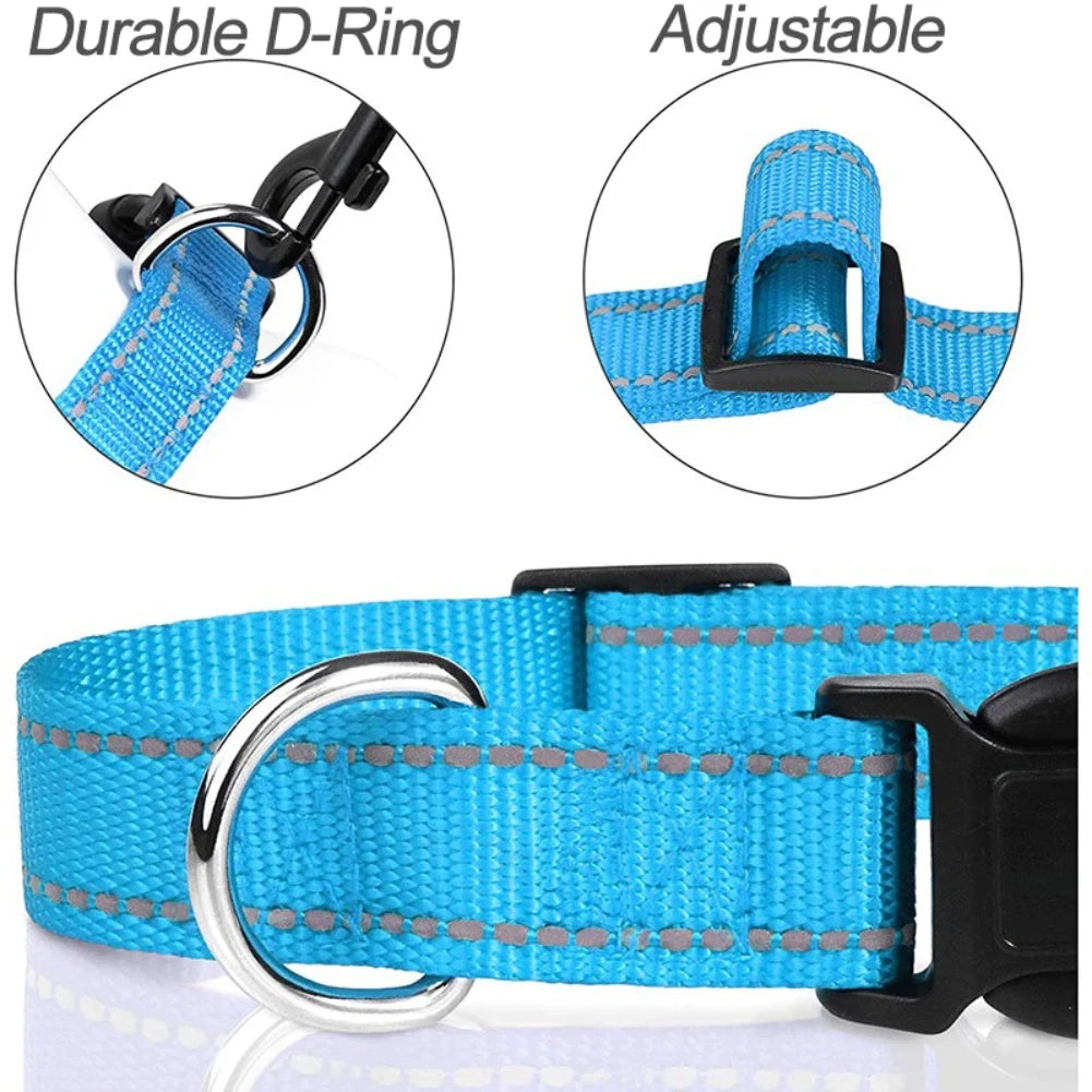 Collier ras de cou pour chiots et petits chiens, nylon robuste, diverses couleurs