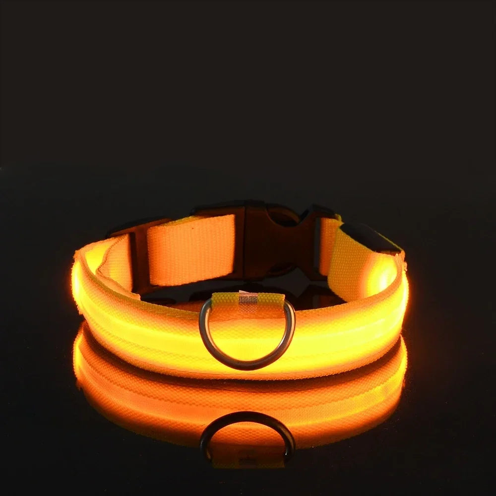 Collier pour chien en Nylon, LED clignotantes pour la sécurité nocturne, diverses couleurs