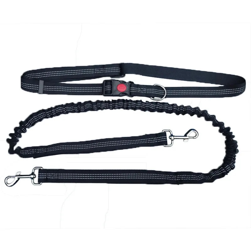 Laisse pour chien mains libres pour promenade, course à pied, jogging. Laisse réglable, ceinture abdominale, sangle thoracique, diverses couleurs