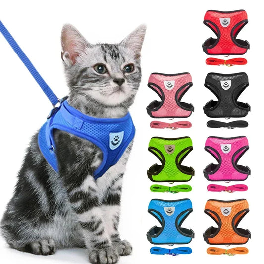 Harnais + laisse assortie, pour chat et petit chien, maille respirante et confortable, diverses couleurs