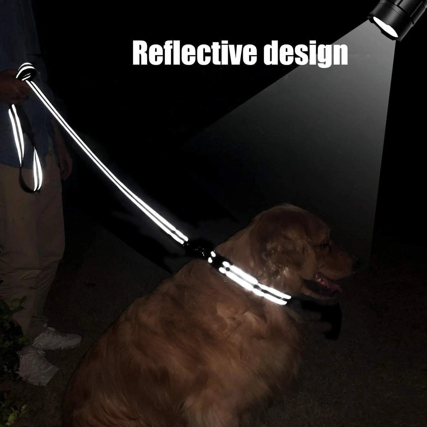 Laisse réfléchissante pour chien – Poignée rembourrée douce et confortable, idéale pour entrainements ou promenades avec votre chien, diverses couleurs