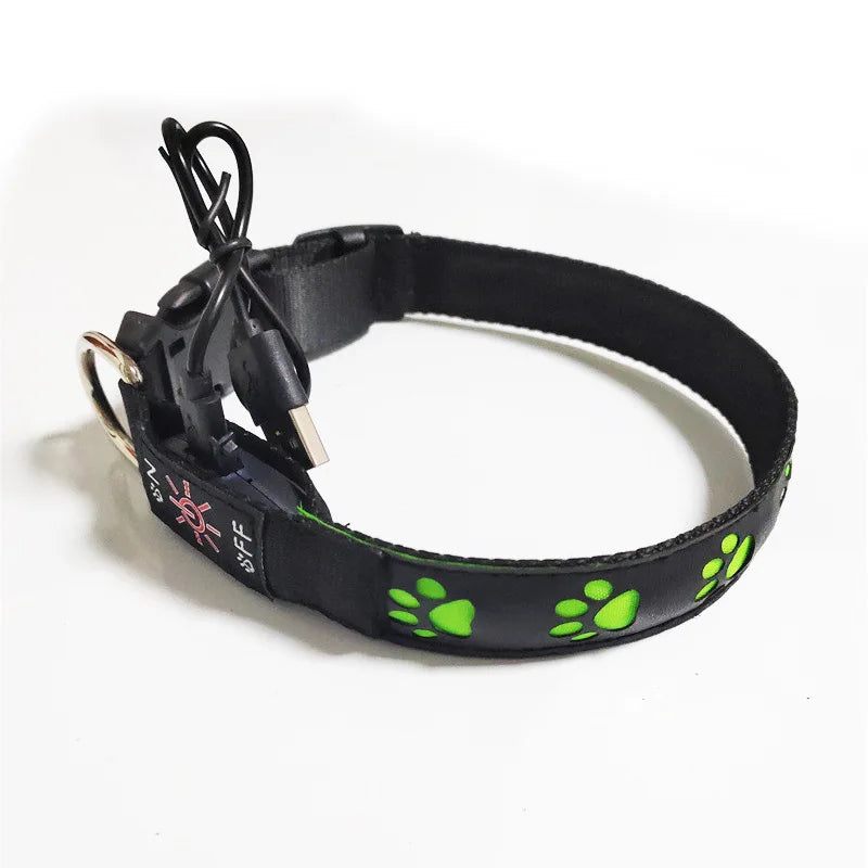 Collier pour chien, avec motif en forme de patte, lumineux pour la marche, diverses couleurs