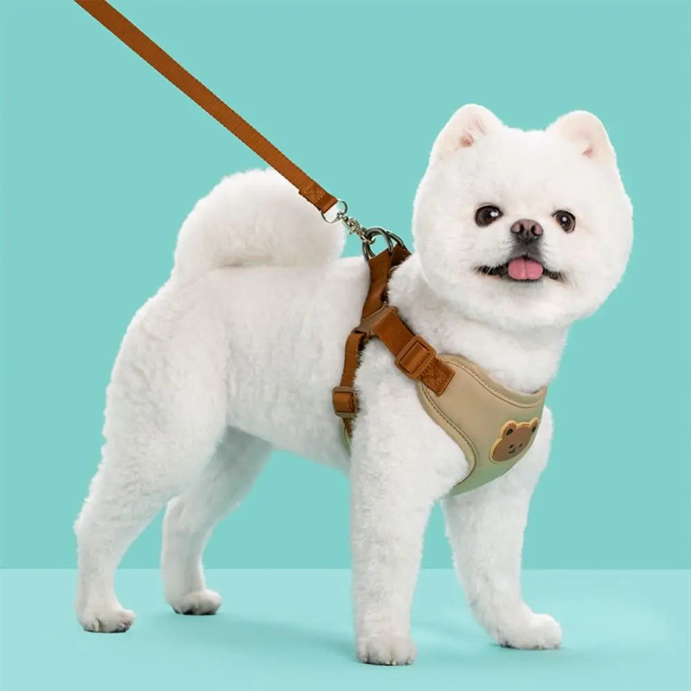 Harnais avec tête d'ourson et sa laisse assortie pour chien, taille S à XL, diverses couleurs