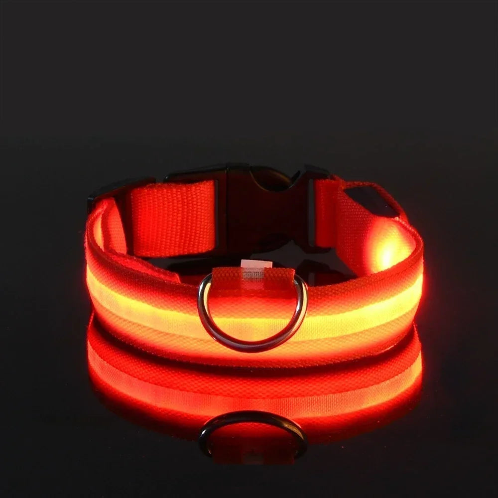 Collier pour chien en Nylon, LED clignotantes pour la sécurité nocturne, diverses couleurs