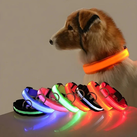 Collier pour chien en Nylon, LED clignotantes pour la sécurité nocturne, diverses couleurs