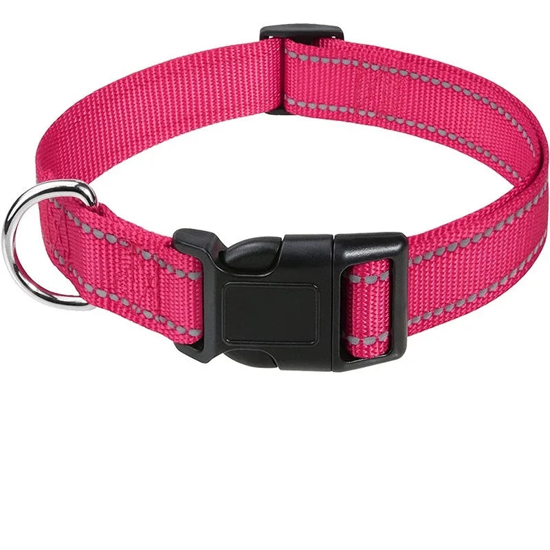 Collier ras de cou pour chiots et petits chiens, nylon robuste, diverses couleurs