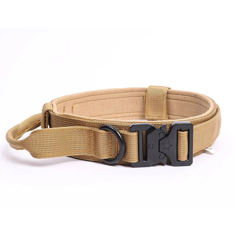 Collier et laisse de formation pour chiens de police, pour chiens moyens et grands, diverses couleurs