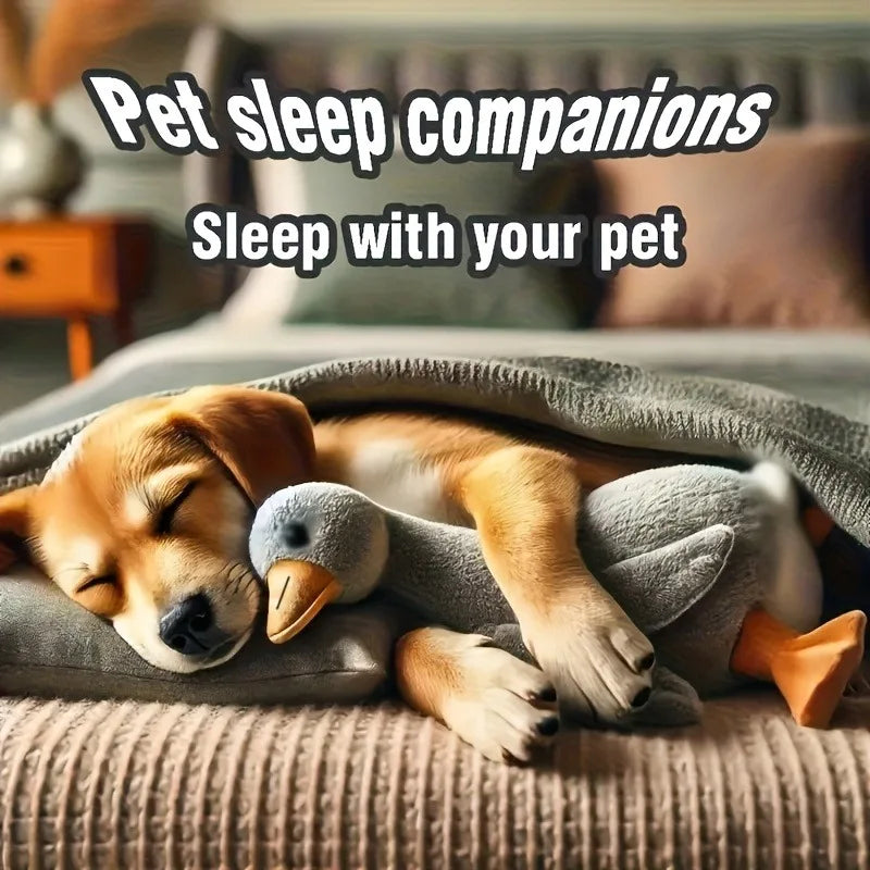 Peluche colorée en forme de canard de 50 cm pour chats et chiens, compagnon relaxant pour animaux de compagnie, compagnon pour chiens soulageant l'anxiété, cadeau pour animaux de compagnie permettant de libérer leur énergie