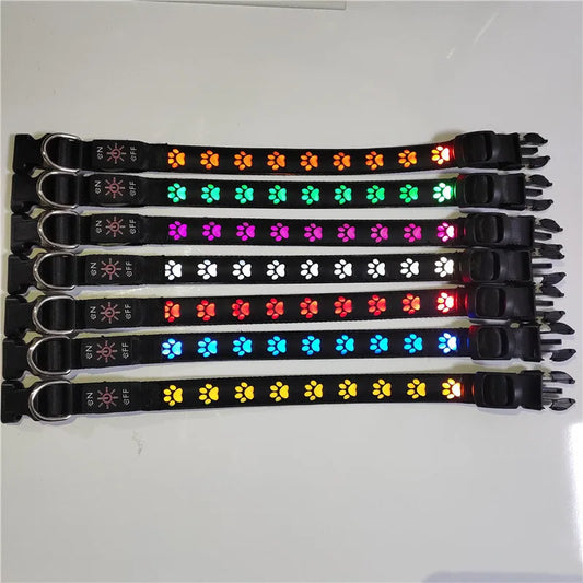 Collier pour chien, avec motif en forme de patte, lumineux pour la marche, diverses couleurs
