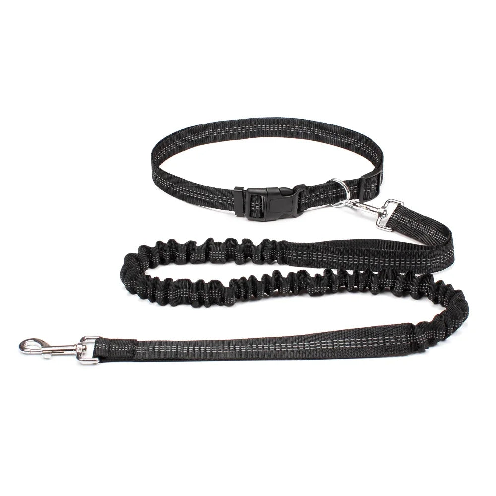 Laisse pour chien mains libres pour promenade, course à pied, jogging. Laisse réglable, ceinture abdominale, sangle thoracique, diverses couleurs